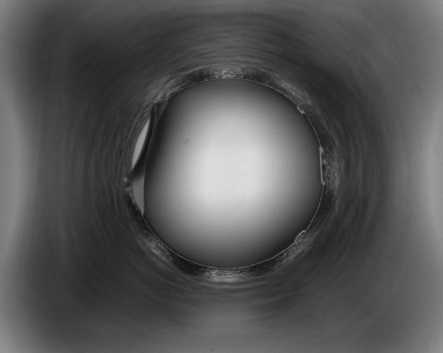 X0000086310766200704202002