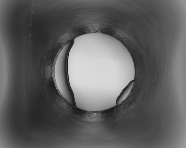 X0000086310768200704202002