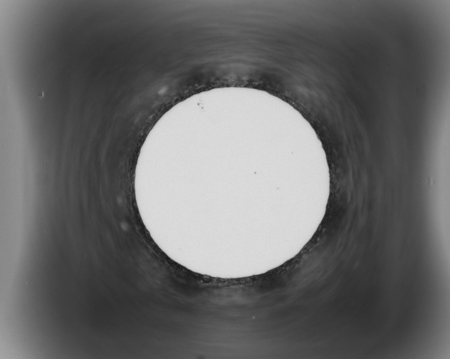 X0000086310769200704202002