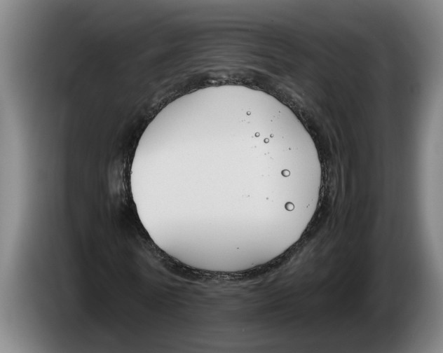X0000086310770200704202002
