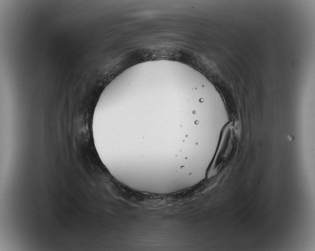 X0000086310771200704202001