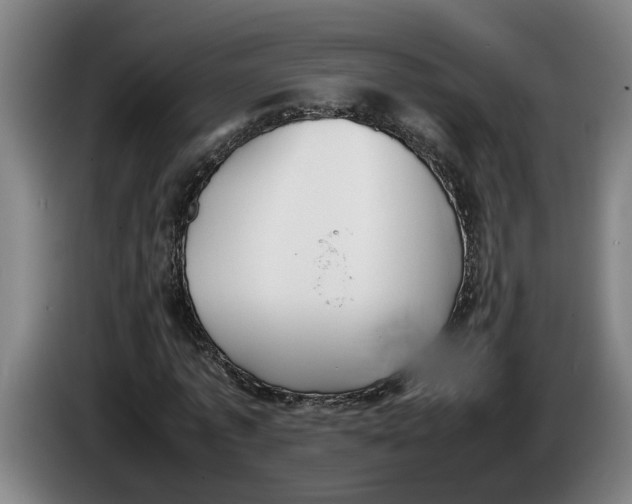 X0000086310773200704202001