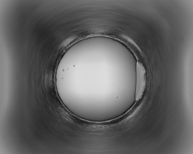 X0000086310777200704202001