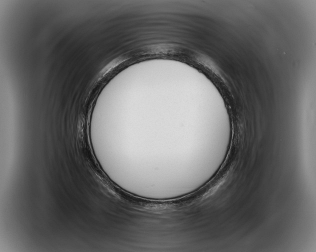 X0000086310778200704202001