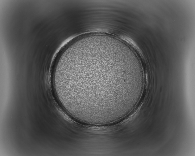 X0000086310780200704202001