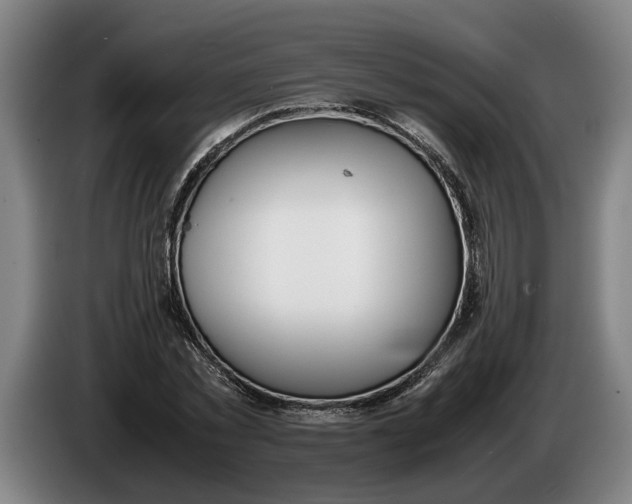 X0000086310781200704202001