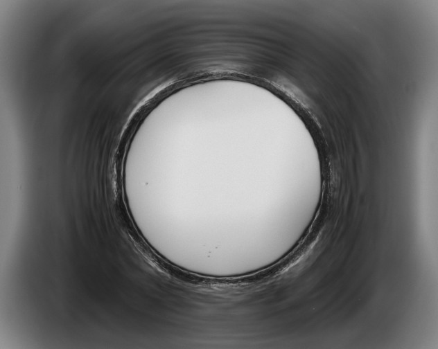 X0000086310782200704202001