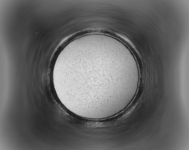 X0000086310783200704202001