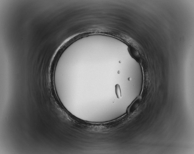 X0000086310784200704202001