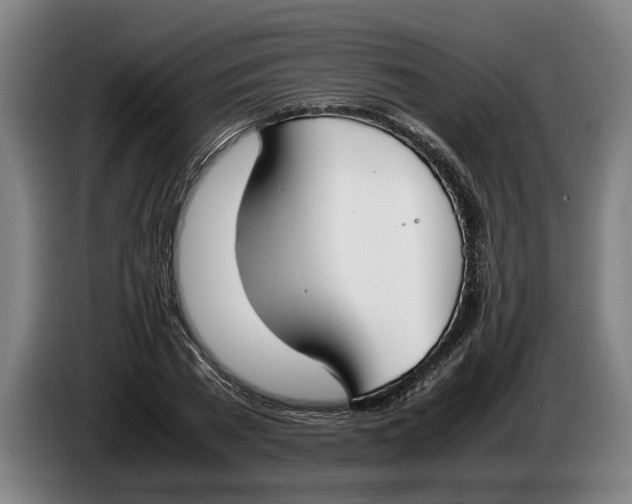 X0000086310785200704202001