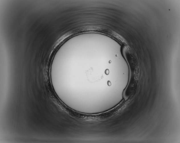 X0000086310786200704202001