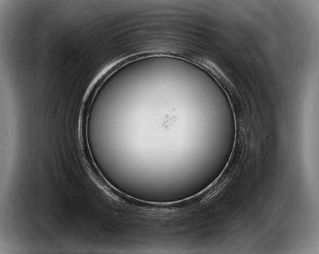 X0000086310788200704202001
