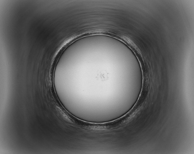 X0000086310789200704202001
