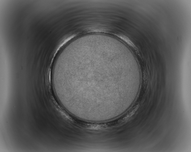 X0000086310790200704202001