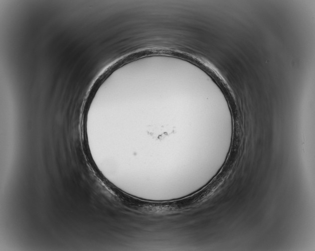 X0000086310791200704202001