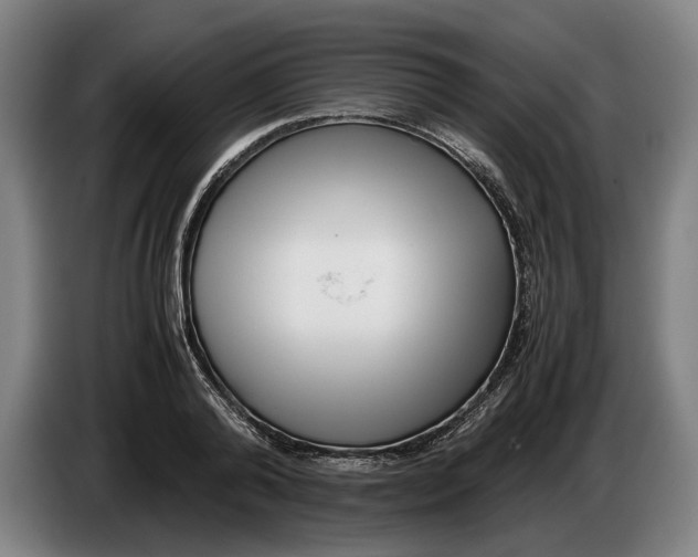 X0000086310792200704202001