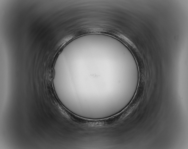 X0000086310793200704202001