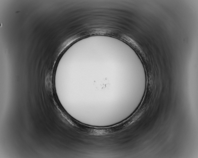 X0000086310794200704202001