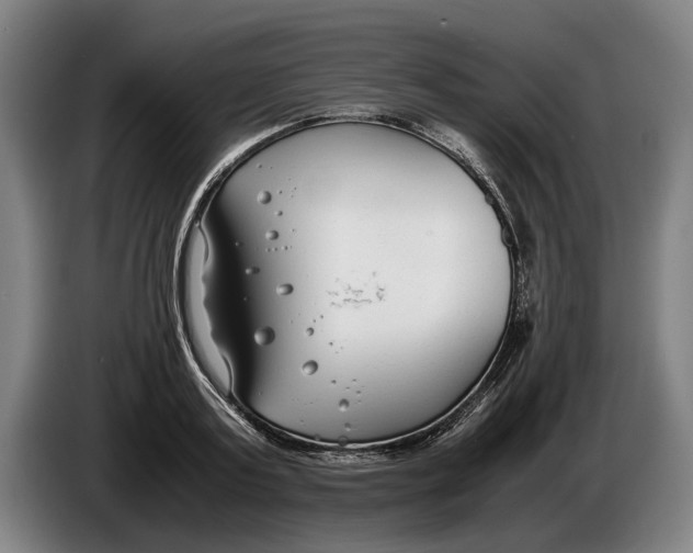 X0000086310795200704202001