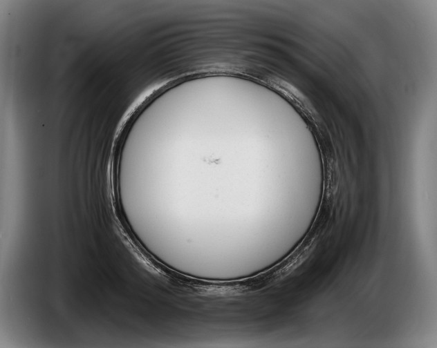 X0000086310796200704202001