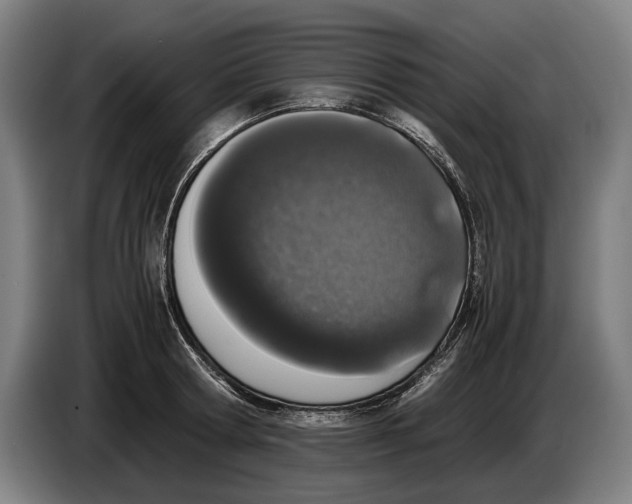 X0000086310802200704202001