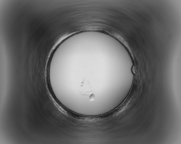 X0000086310803200704202001