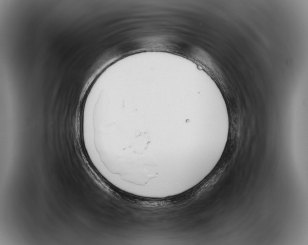 X0000086310804200704202001