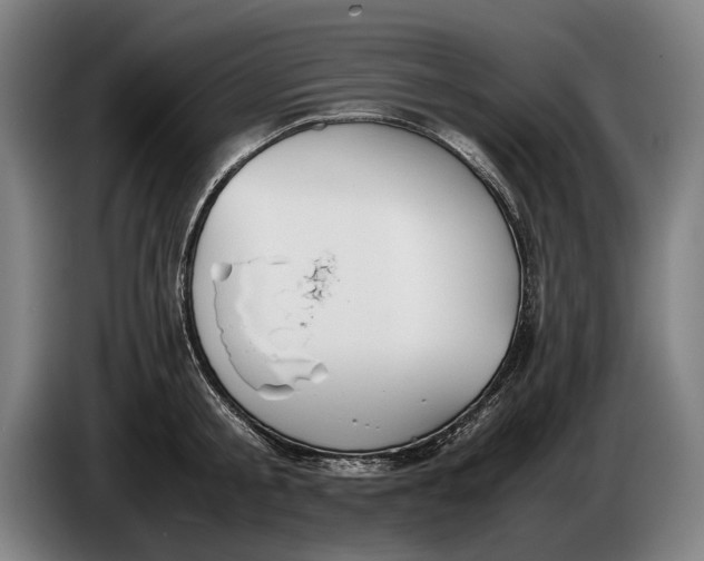 X0000086310805200704202001