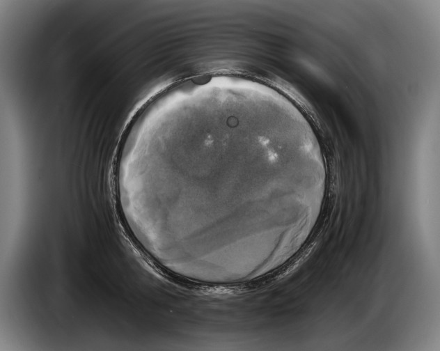 X0000086310806200704202001