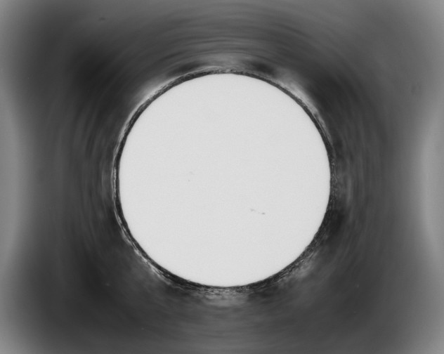 X0000086310807200704202001
