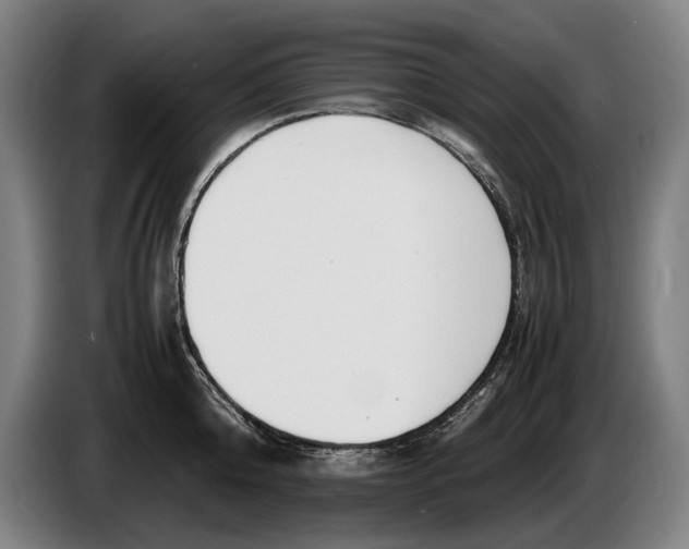 X0000086310808200704202001