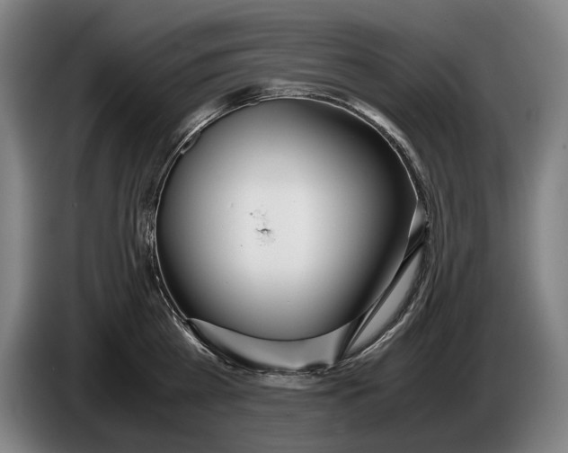 X0000086310809200704202001