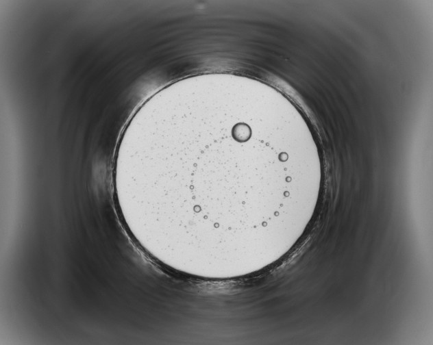X0000086310810200704202001