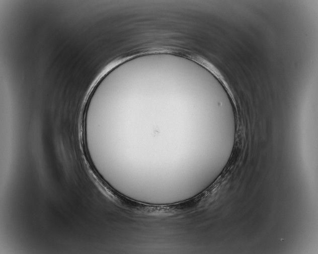 X0000086310811200704202001
