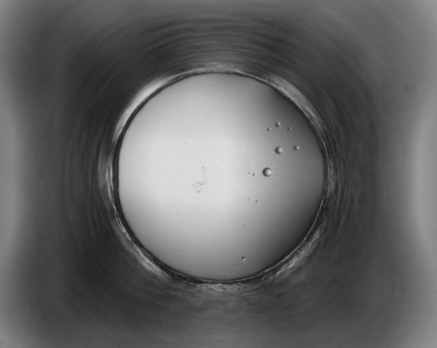 X0000086310812200704202001