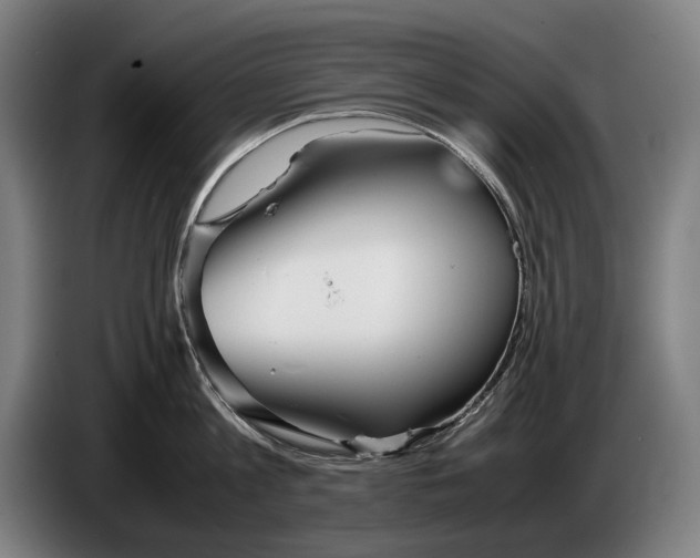 X0000086310813200704202001