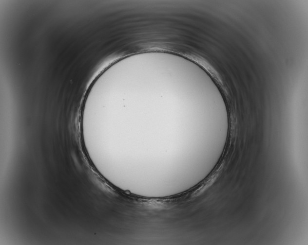 X0000086310814200704202001