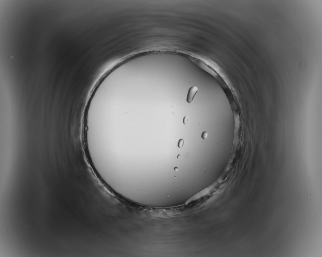 X0000086310815200704202001