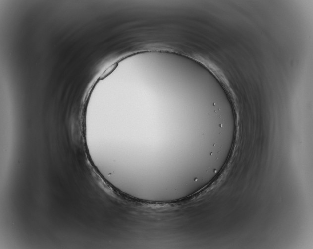 X0000086310816200704202001