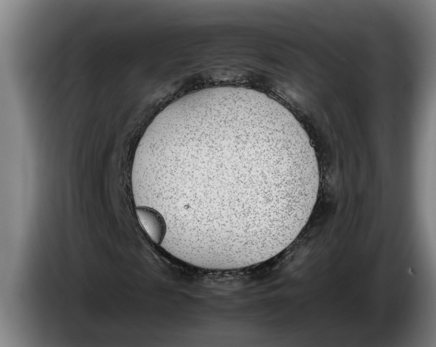 X0000086310817200704202000