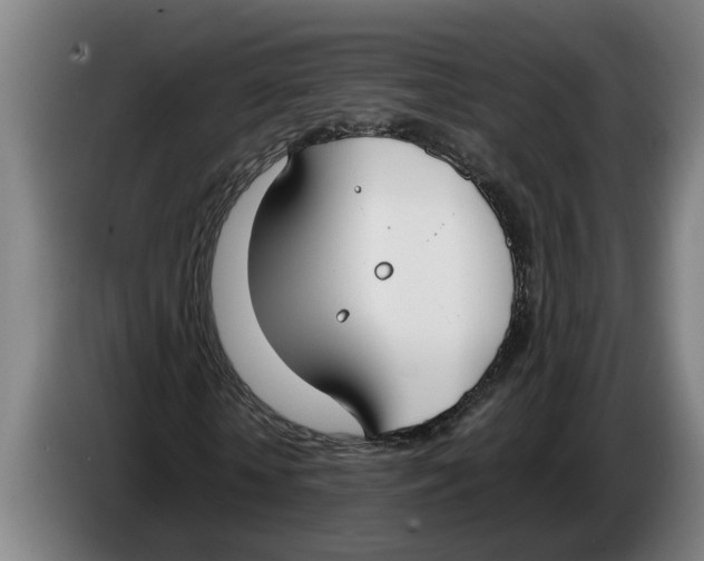 X0000086310818200704202000