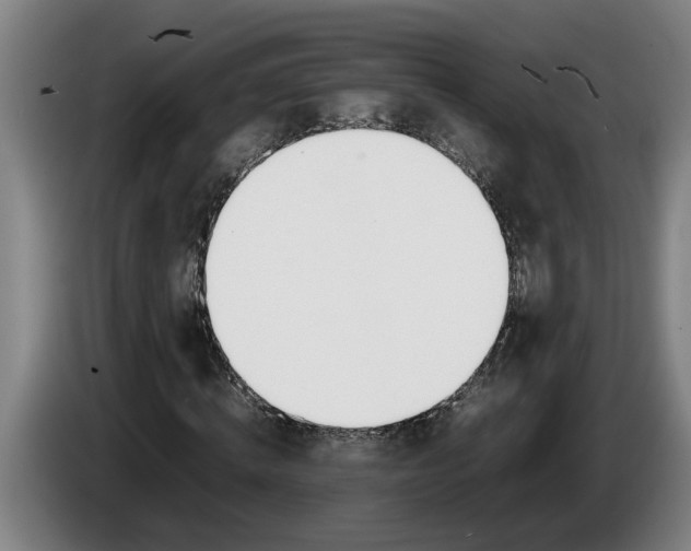 X0000086310820200704202000