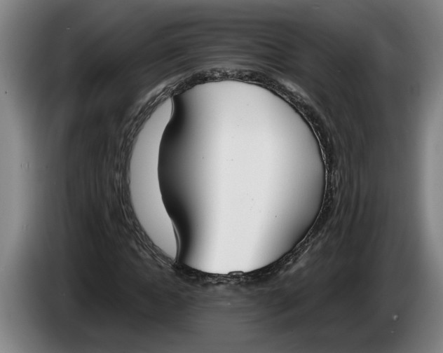 X0000086310822200704202000