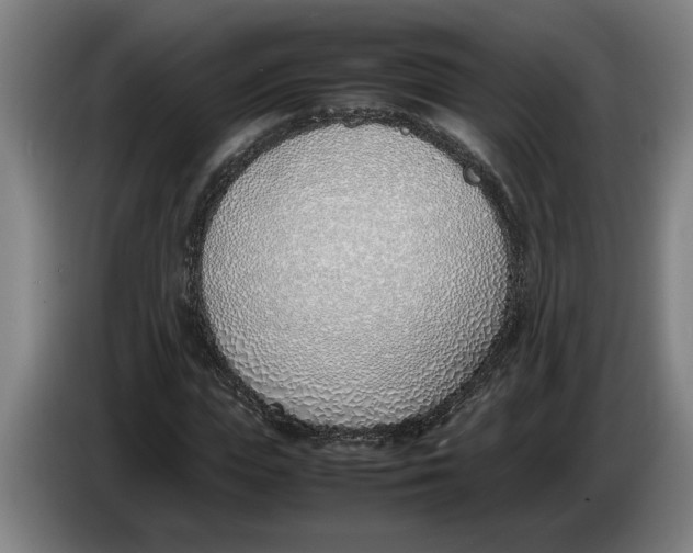X0000086310823200704202000