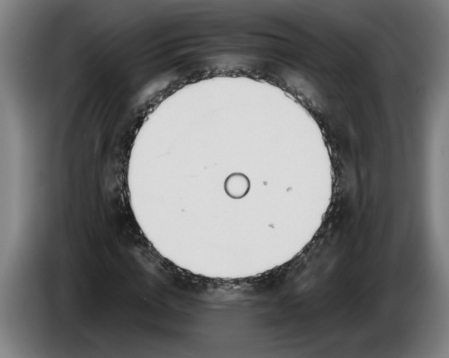 X0000086310824200704202000