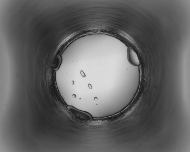 X0000086310826200704202000