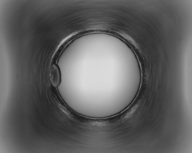 X0000086310830200704202000