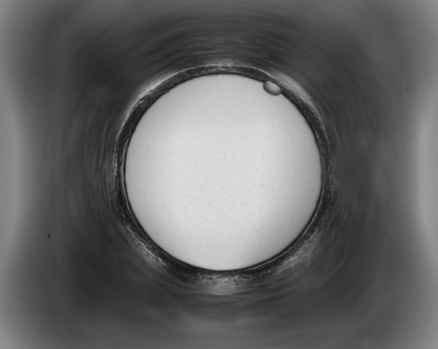 X0000086310831200704202000