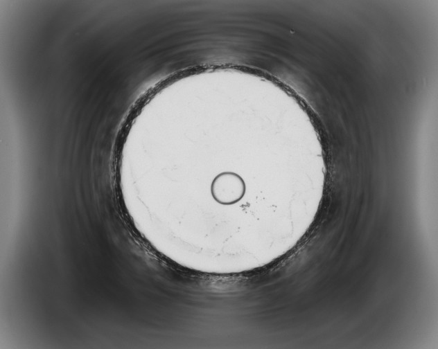 X0000086310832200704202001