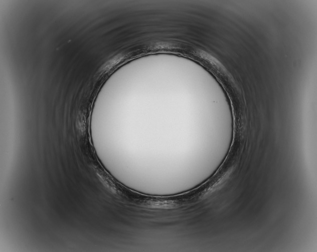 X0000086310833200704202001